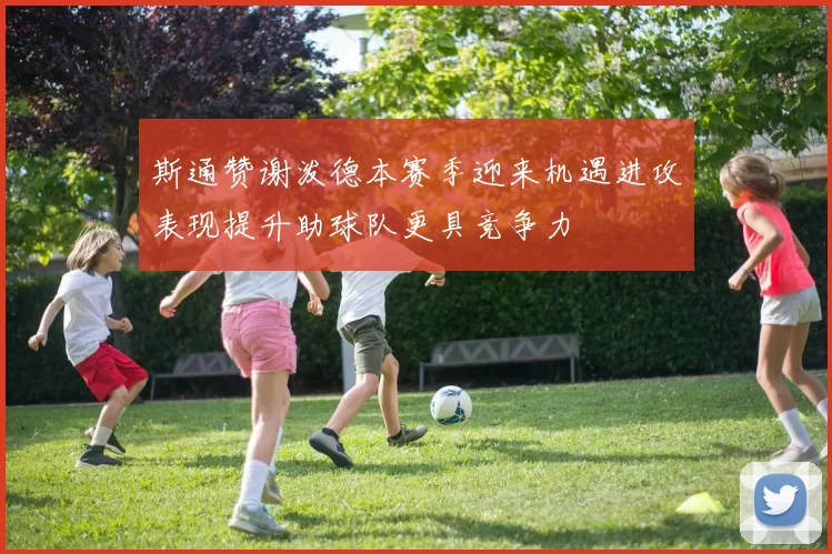 斯通赞谢泼德本赛季迎来机遇进攻表现提升助球队更具竞争力